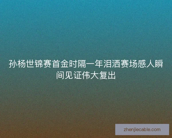 孙杨世锦赛首金时隔一年泪洒赛场感人瞬间见证伟大复出